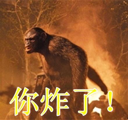 猩球崛起2表情包