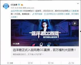 获得融资的网红,揭秘网红背后的商业帝国崛起